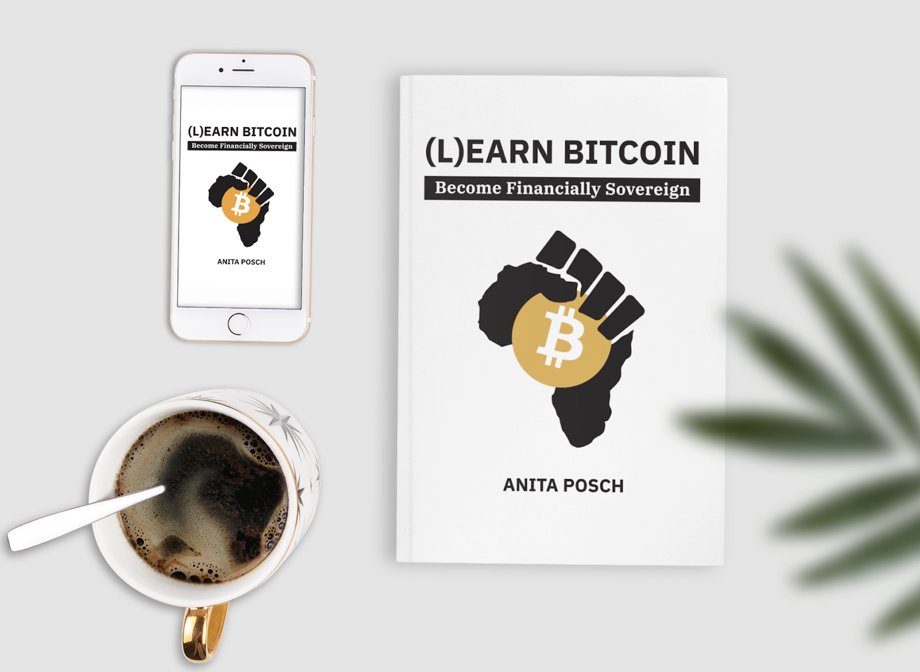 Learn Bitcoin book